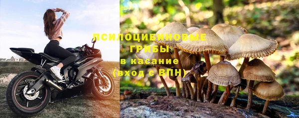 прущая мука Алзамай